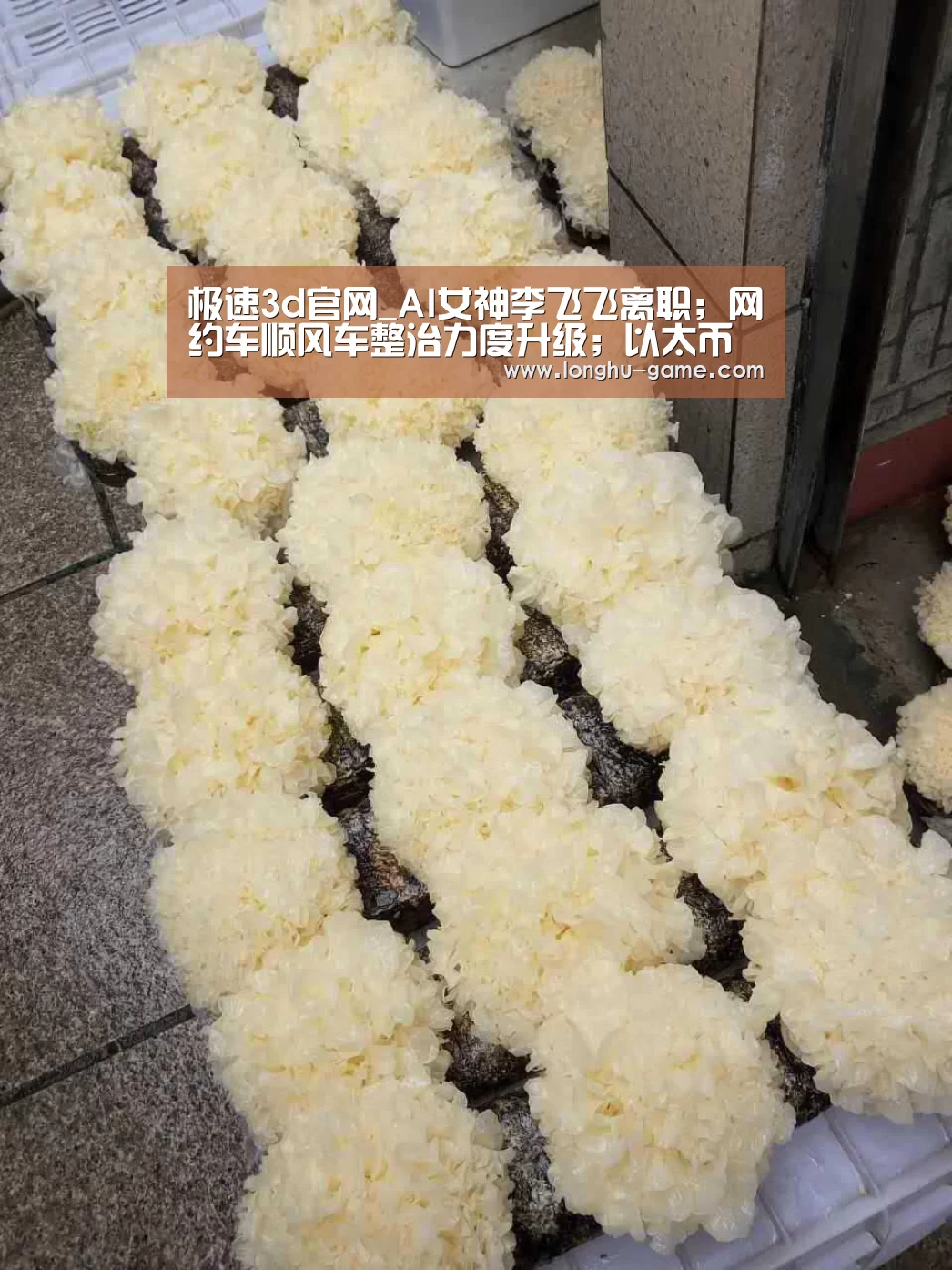 极速3d官网