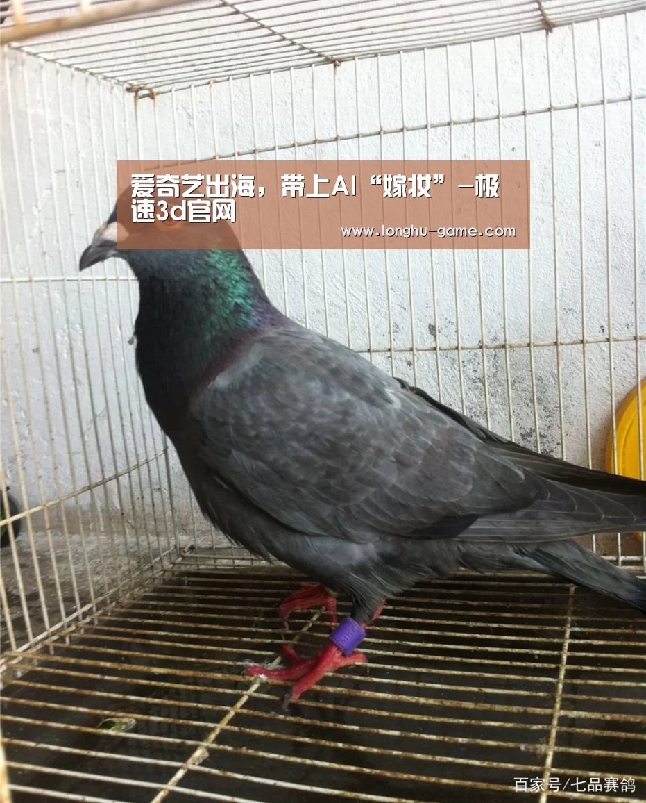 极速3d下载